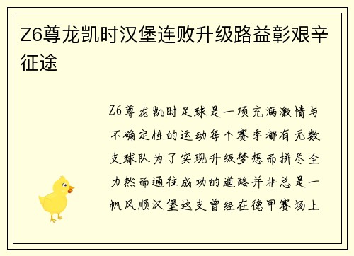 Z6尊龙凯时汉堡连败升级路益彰艰辛征途