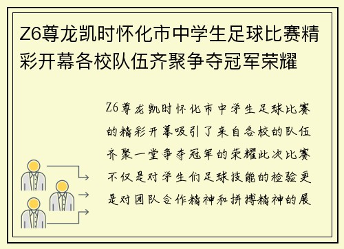 Z6尊龙凯时怀化市中学生足球比赛精彩开幕各校队伍齐聚争夺冠军荣耀